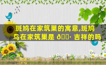 斑鸠在家筑巢的寓意,斑鸠鸟在家筑巢是 🌷 吉祥的吗